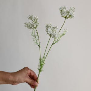 Tallo de planta de encaje falso de la reina Ana de 19,7 , 3 cabezas en blanco, rama de flores artificiales de primavera, flores de bricolaje / boda / hogar / decoración de cocina, regalos White-Leisi(3tou)