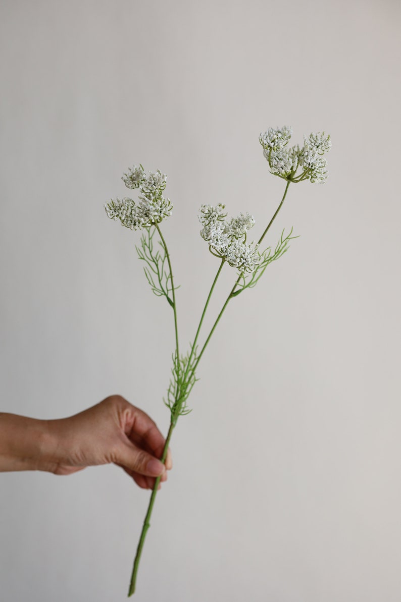 Tallo de planta de encaje falso de la reina Ana de 19,7 , 3 cabezas en blanco, rama de flores artificiales de primavera, flores de bricolaje / boda / hogar / decoración de cocina, regalos White-Leisi(3tou)