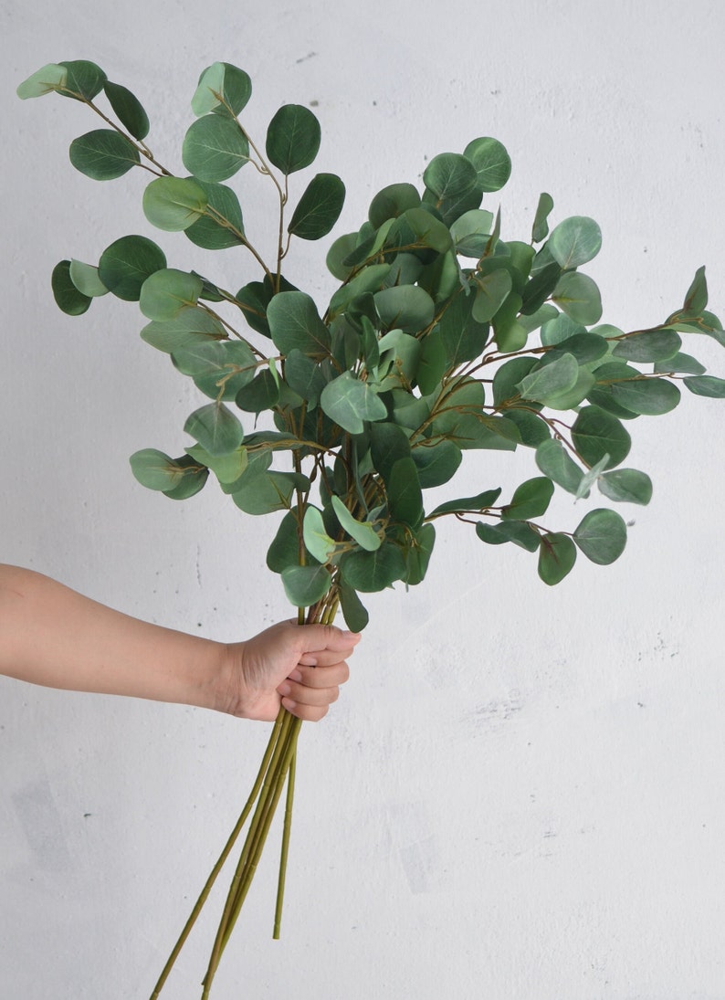 34 Artificial Silver Dollar Eucalyptus Branch Etsy