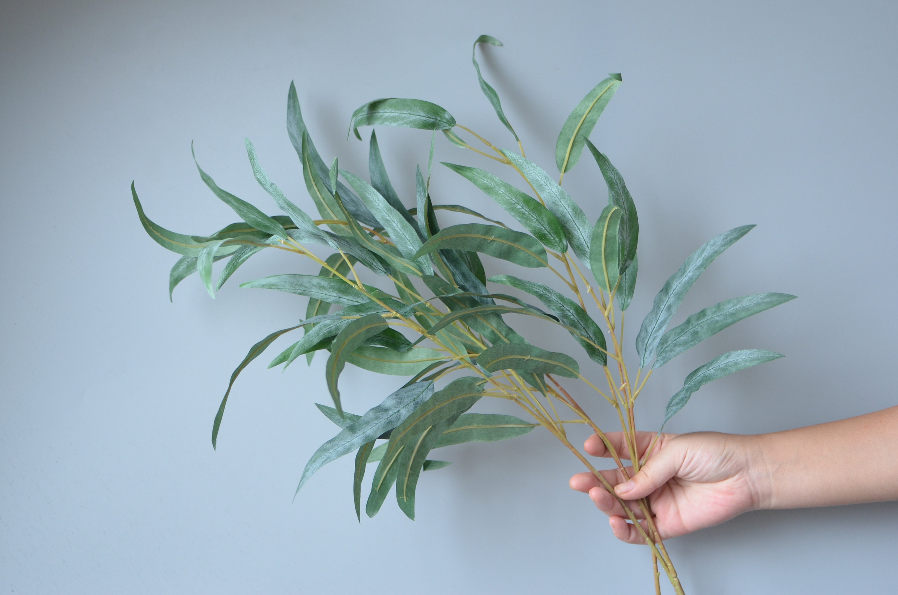 Vintage Green Willow Eucalyptus Stems Artificial Eucalyptus Etsy UK
