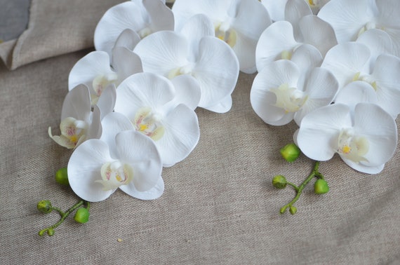 Orchidee fucsia, fiori vero tocco Phalaenopsis, orchidee artificiali rosa  caldo, bouquet da sposa in seta fai-da-te, centrotavola nuziali -   Italia