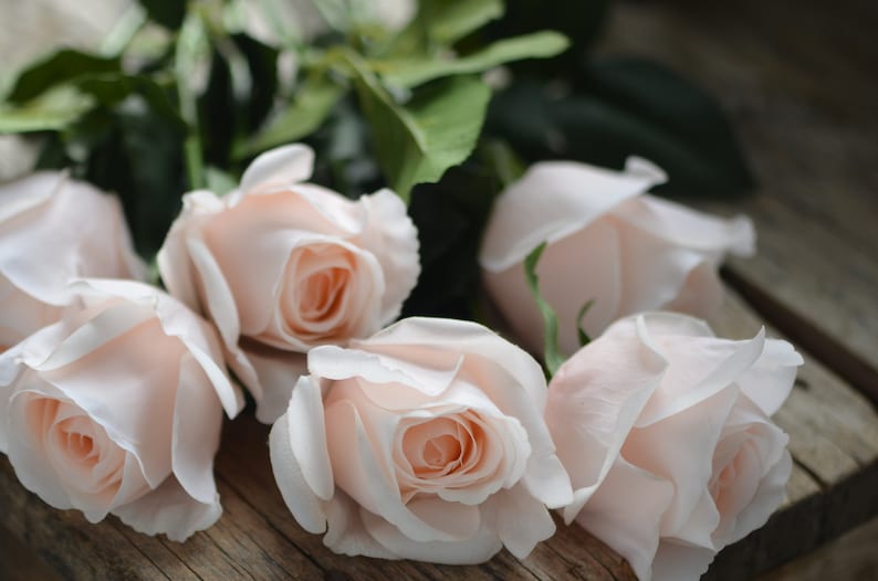 Roses artificielles semi-ouvertes à rougir / rose pâle Real Touch, fleurs DIY Décoration de mariage/maison/cuisine Cadeaux, bouquets de bricolage / centre de table image 8
