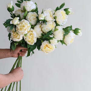 Pu&ograve; includere: Un mazzo di peonie bianche con steli e foglie verdi.