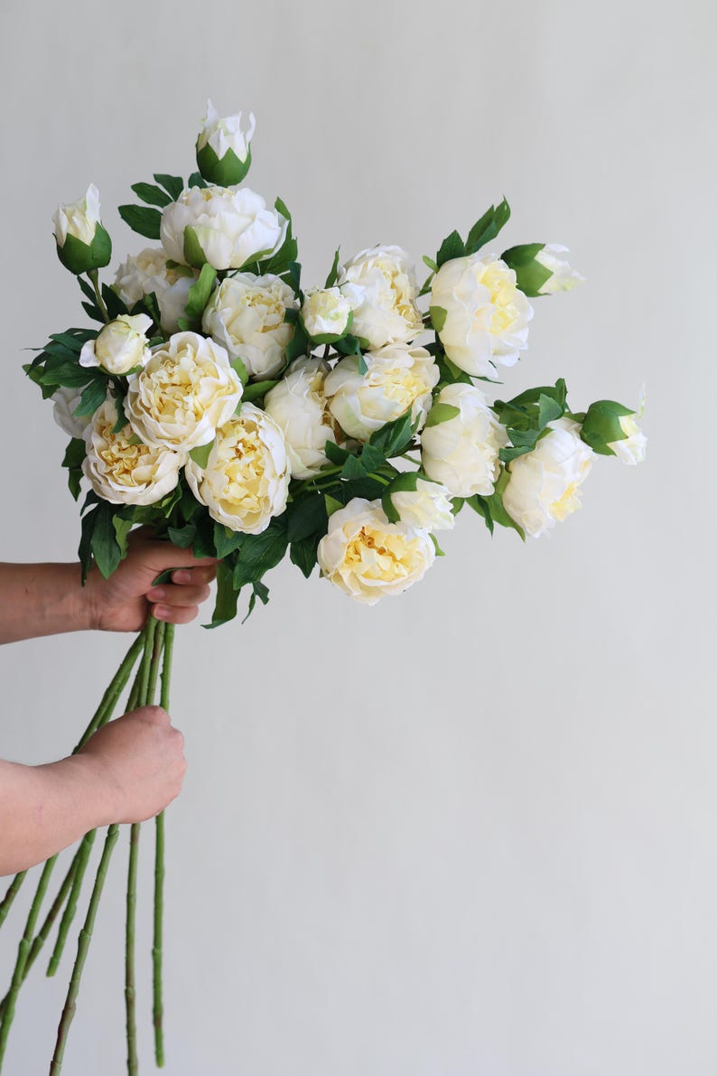 Pu&ograve; includere: Un mazzo di peonie bianche con steli e foglie verdi.