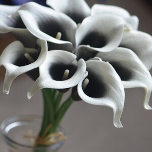 May include: A bouquet of white calla lilies with black centers. The lilies are arranged in a vase and are ready to be displayed.