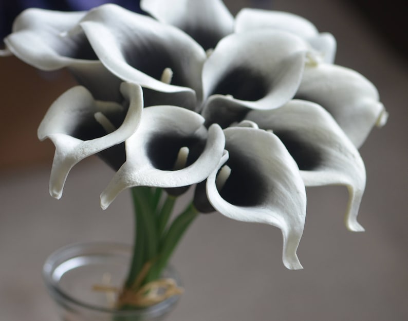 May include: A bouquet of white calla lilies with black centers. The lilies are arranged in a vase and are ready to be displayed.