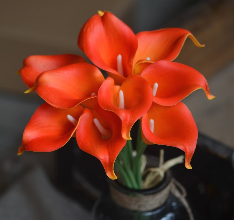 May include: A bouquet of orange calla lilies in a vase. The lilies are arranged in a cluster, with the stems visible. The vase is brown and has a rustic look.