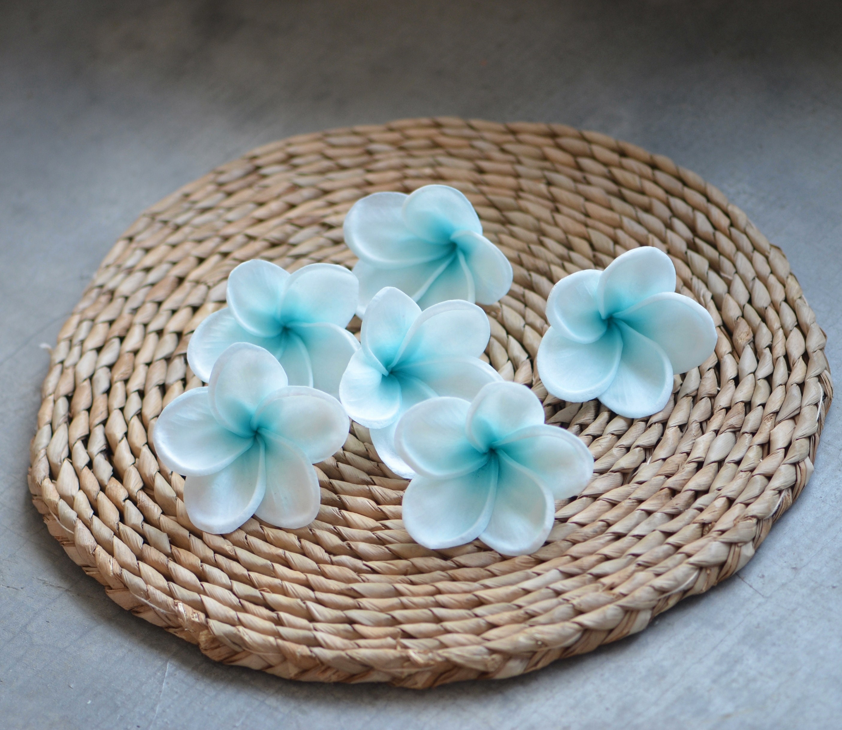 Aqua Blue Center Plumerias Natural Real Touch Flowers - Etsy