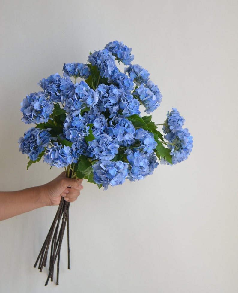 May include: A bouquet of blue hydrangeas with green leaves and brown stems.