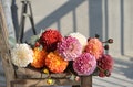 Ivory Dusty Pink Gradient Dahlia, DIY Artificial Flower Bouquet product logo