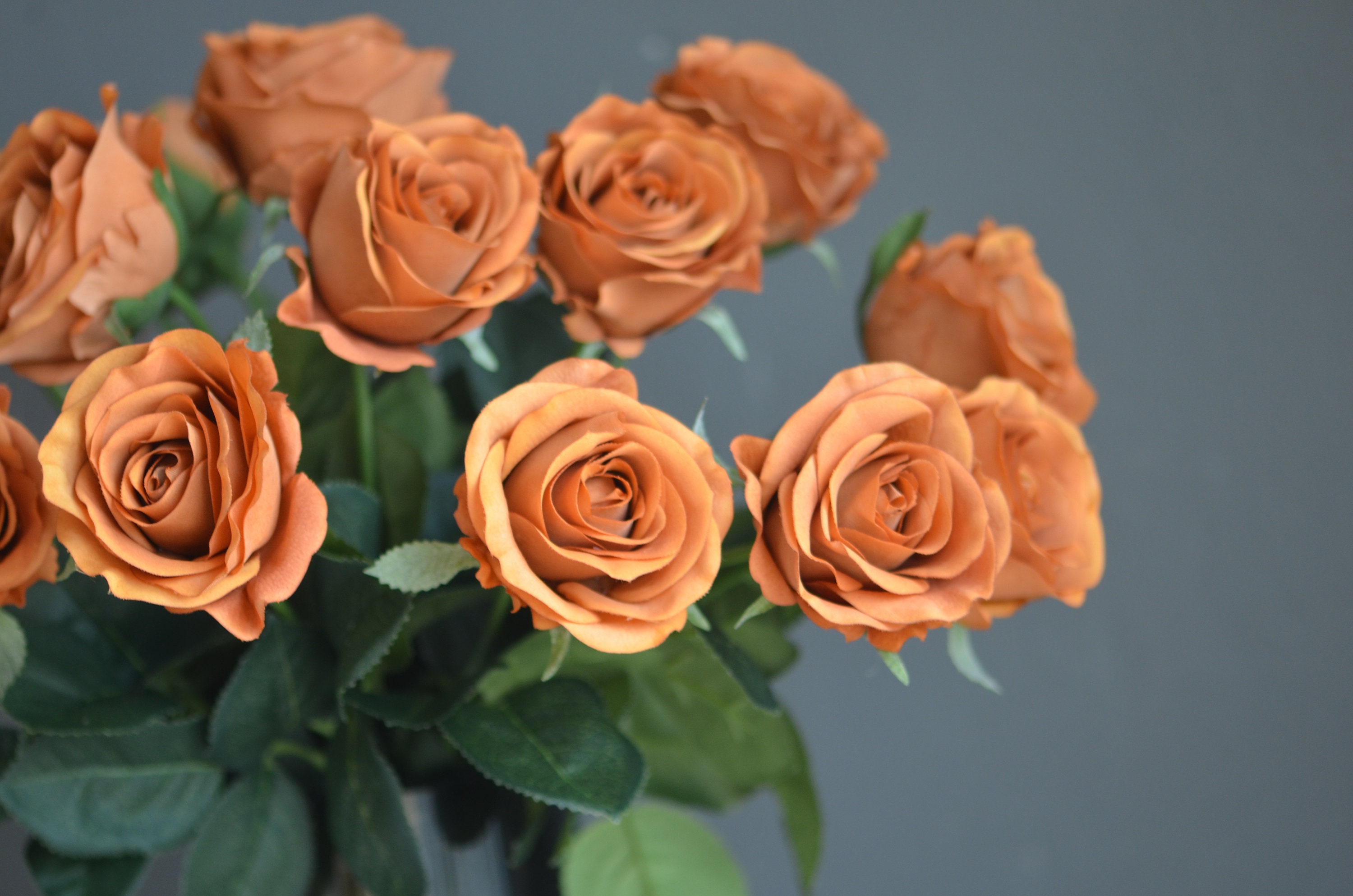25 Burnt Orange Real Touch Faux Roses DIY Florals Etsy Australia