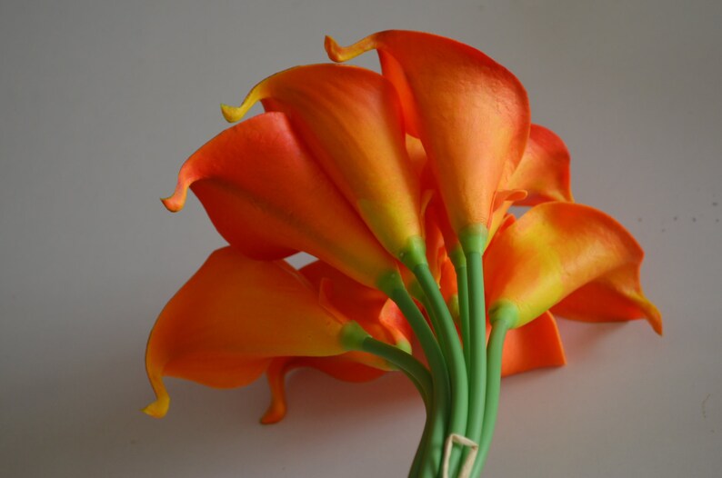 May include: A bouquet of orange calla lilies with green stems.
