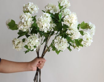 May include: A bouquet of white hydrangea flowers with green leaves. The stems are brown and the flowers are arranged in a cluster.