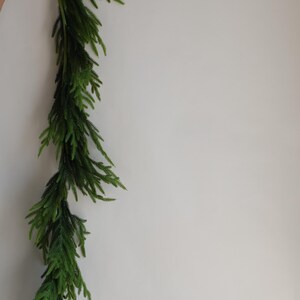 May include: A long, green garland of artificial pine branches, hanging against a white wall.