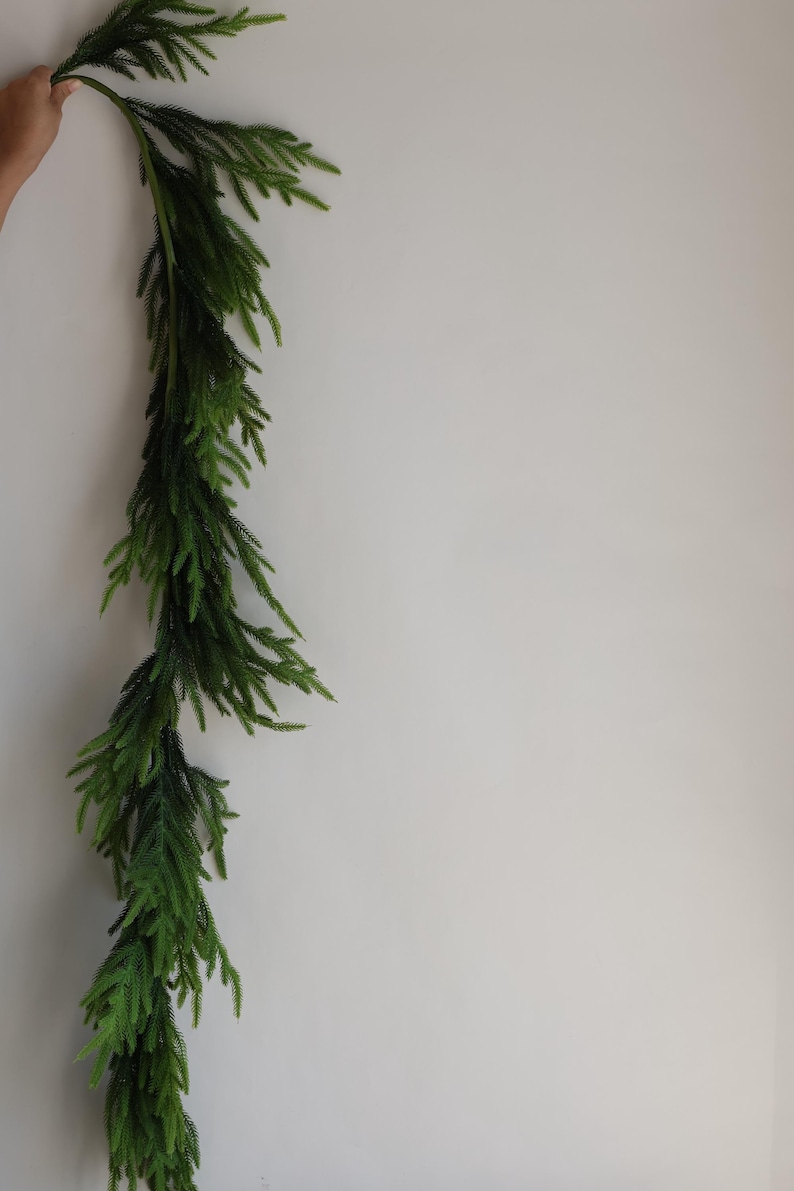 May include: A long, green garland of artificial pine branches, hanging against a white wall.