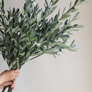 May include: A bunch of olive branches with green leaves and small black olives.