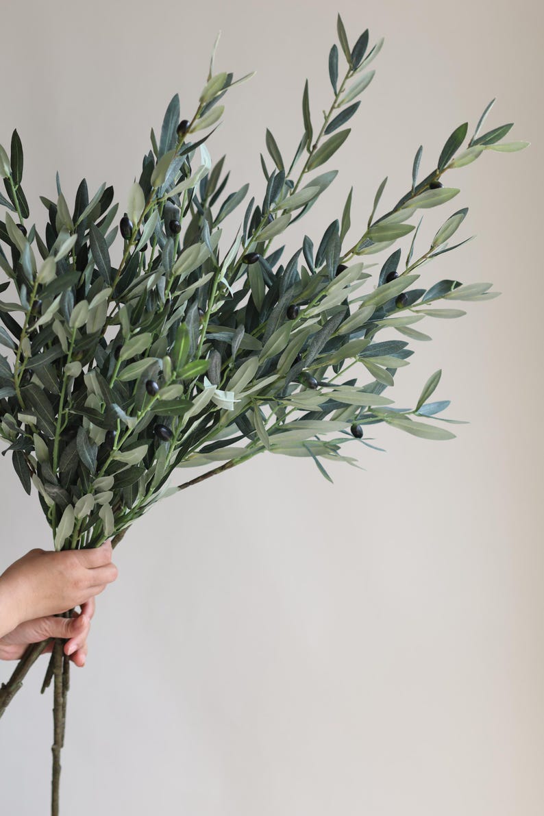 May include: A bunch of olive branches with green leaves and small black olives.