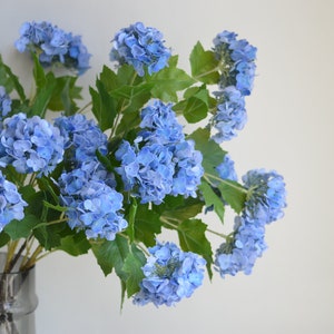 May include: A bouquet of blue hydrangea flowers in a clear glass vase. The flowers are arranged in a loose, natural style.