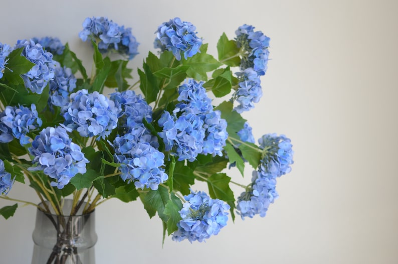 May include: A bouquet of blue hydrangea flowers in a clear glass vase. The flowers are arranged in a loose, natural style.