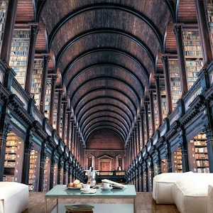 Bookcase Library Book Shelve Wallpaper Mural Photo Home Poster DIY Decoration wall covering, wall decoration