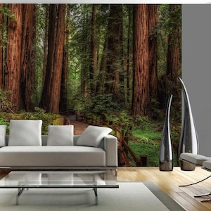 Tree Plant Walk Wall Mural Forest Photo Picture Wallpaper Bedroom Decoration wall covering, wall decoration