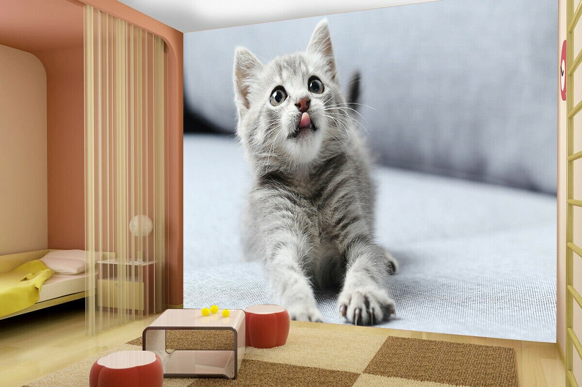 Süße Katze Tier Kinder Kätzchen Foto Wallpaper Wandbezug, Zimmer Poster Wandbild Kinder Wanddekoration Vet