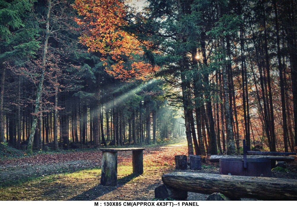 Tree Leaves Plants Forest Autumn Photo Wallpaper Mural Home Poster Decoration