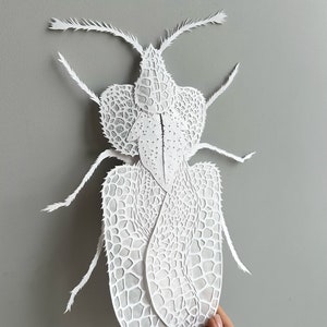 Art collage, paper cutting , bug silhouette with tracing paper ,Bug Paper art work , original paper cutting in white, colour, hand cut. image 1