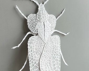 Art collage,  paper cutting , bug silhouette with tracing paper ,"Bug " Paper art work , original paper cutting in white, colour, hand cut.