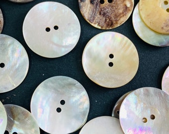 12 Giant Sea Shell Buttons- Very Big Shell Button- Rainbow Shell Button-  MOP Shell Button- Buttons -  1.1" Organic Buttons