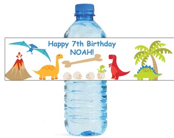 Dinosaur Theme Kids Birthday Water Bottle Labels Great for all sorts of parties and get togethers easy to use self stick labels