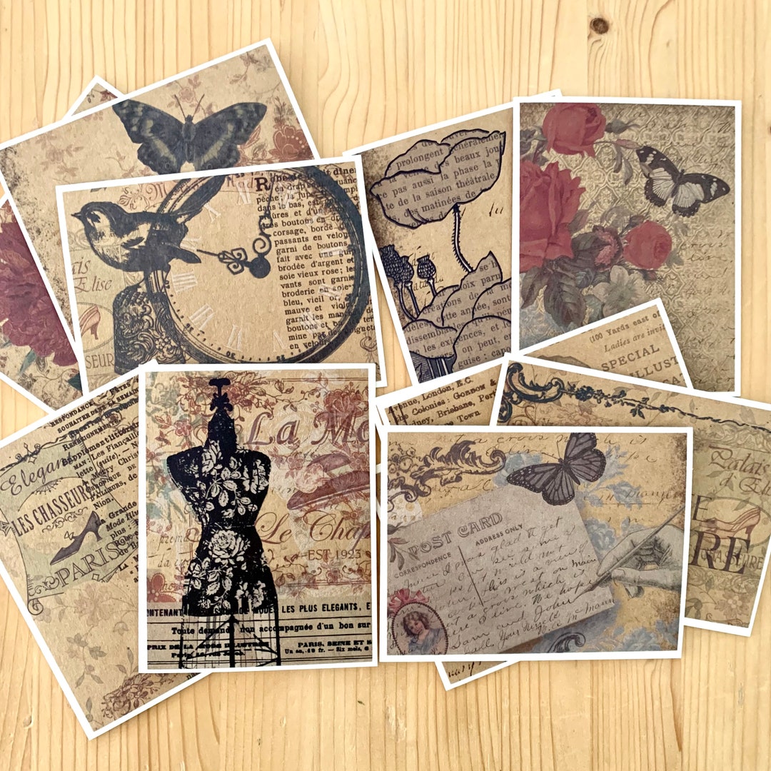 Kraft Note Card, Assortment Set of 12. Fashion, Butterfly, Birds Etsy