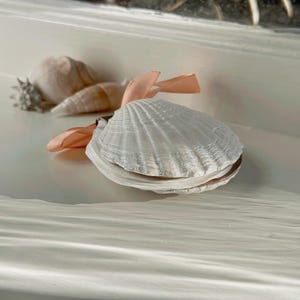 以下が含まれることがあります： 大きな白いリブ貝殻と茶色の内側、小さな螺旋状の貝殻を含む貝殻のコレクション。明るい桃色のリボンが貝殻にかけられています。貝殻は白い表面に配置されています。