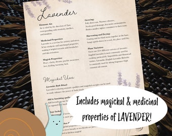 Página del Grimorio Lavanda - descarga digital del Libro de las Sombras