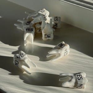 May include: A collection of white ceramic teeth, each inscribed with the words "YES" and "NO" in black lettering. The teeth are scattered on a white surface, with shadows cast by sunlight.