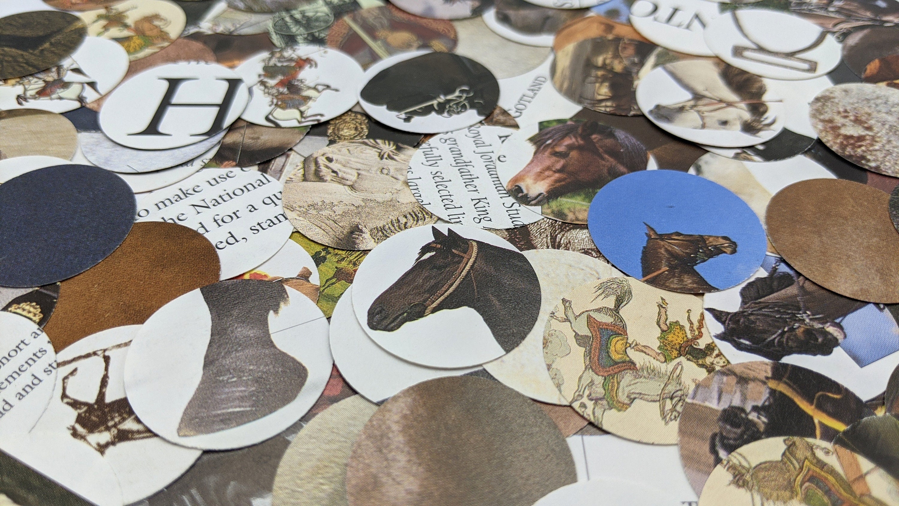 Horse Themed Confetti Pictures Illustrations Coat Colors Ponies Horses