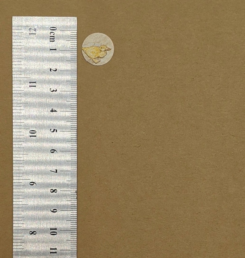 May include: A small, round sticker with a yellow duck illustration. The sticker is on a brown surface next to a ruler with centimeter markings. The duck is facing left and has a detailed design.