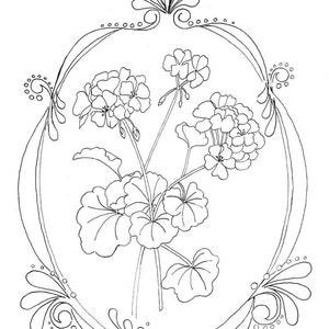 Geraniums Coloring Page Flower Coloring Page Instant Download image 2
