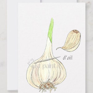Garlic Watercolor Illustration Vegetable Art Print image 3