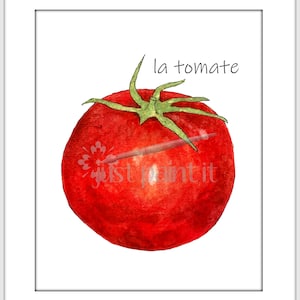 Tomato Watercolor Art Print Kitchen Wall Art with or without words