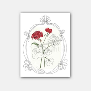Geraniums Coloring Page Flower Coloring Page Instant Download image 1