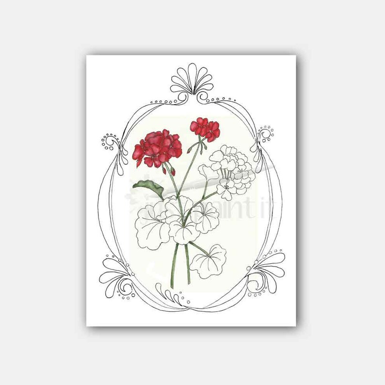 Geraniums Coloring Page Flower Coloring Page Instant Download image 1