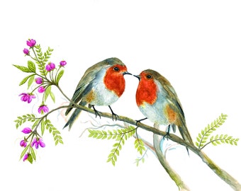 Cute Robin Print | Robins Print | Robin Painting | Watercolour Bird Art | Bird Painting | Pretty English Garden Birds Painting