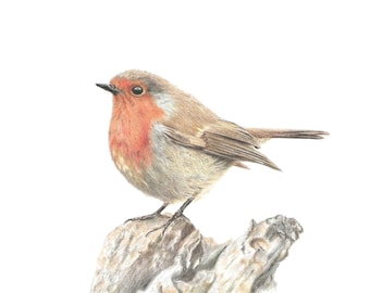 Robin Print | Robin wall Art | Mothers day gift
