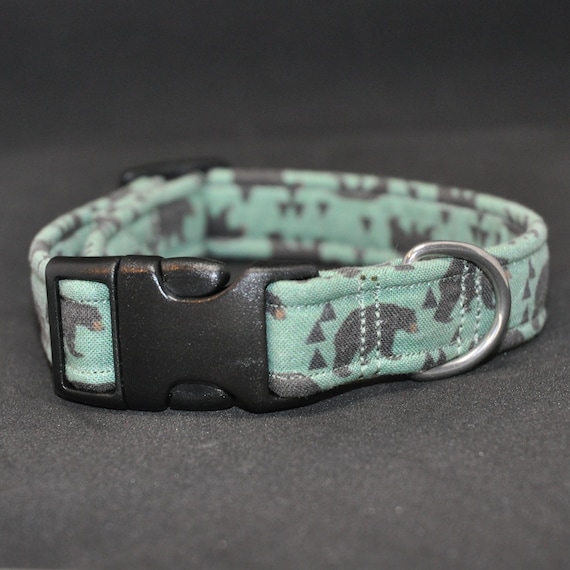 bear dog collar