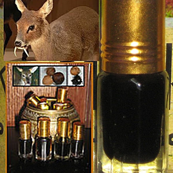 Wild Deer Musk is de duurste geur ter wereld die meer waard is dan platina en puur goud.