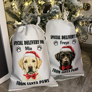 Personalised Dog Christmas Sack: Custom Breed Santa Treat Bag
