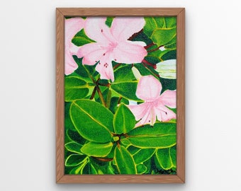 Pink Hawaiian Flowers - Plumeria - Original Art Print - "ʻĀkala"