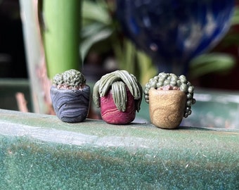 Miniature Clay Houseplant Set