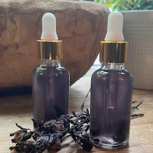 Ghost Flower Tincture (Monotropa uniflora) 1oz Dropper Bottle